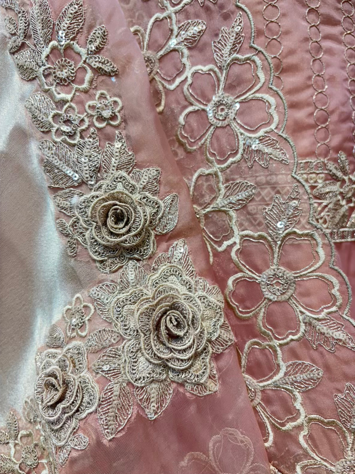 Ziana Zari Organza Suit
