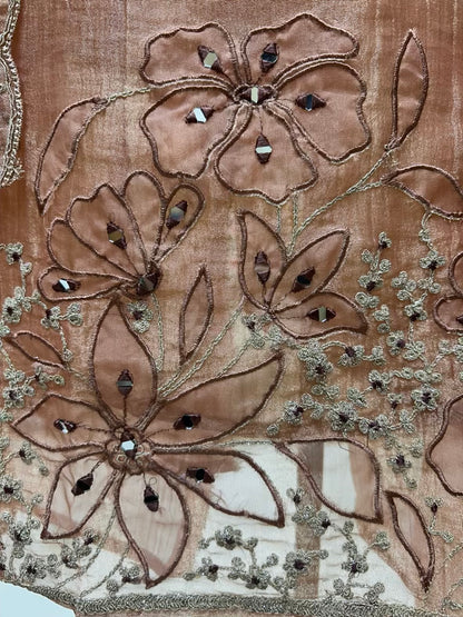 Raveena Aaina Dori Suit (Peach)