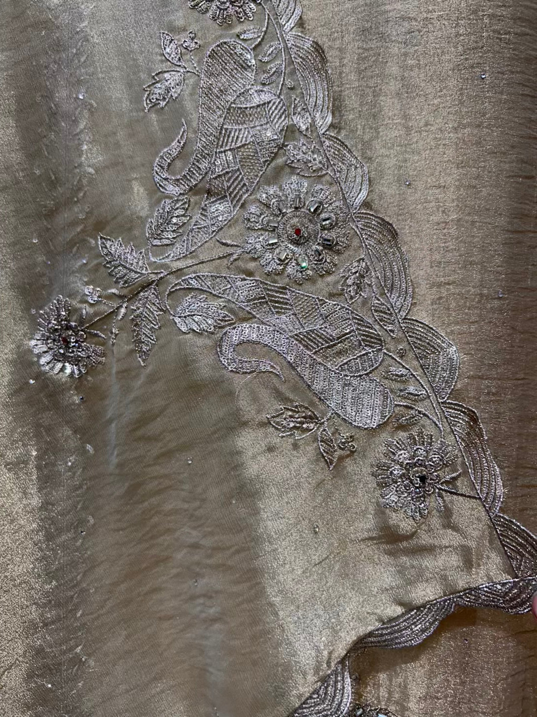 Aayra Organza Veil Suit (Beige)