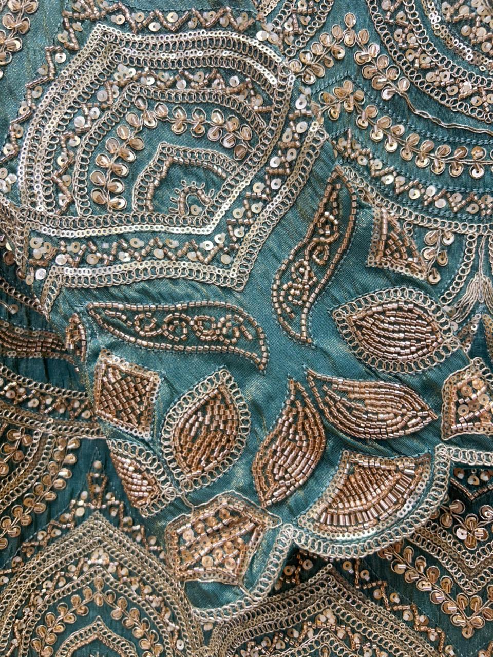 Aureza Organza Sharara Set