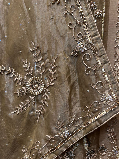 Chaandbaliyaa Organza Suit (Beige)