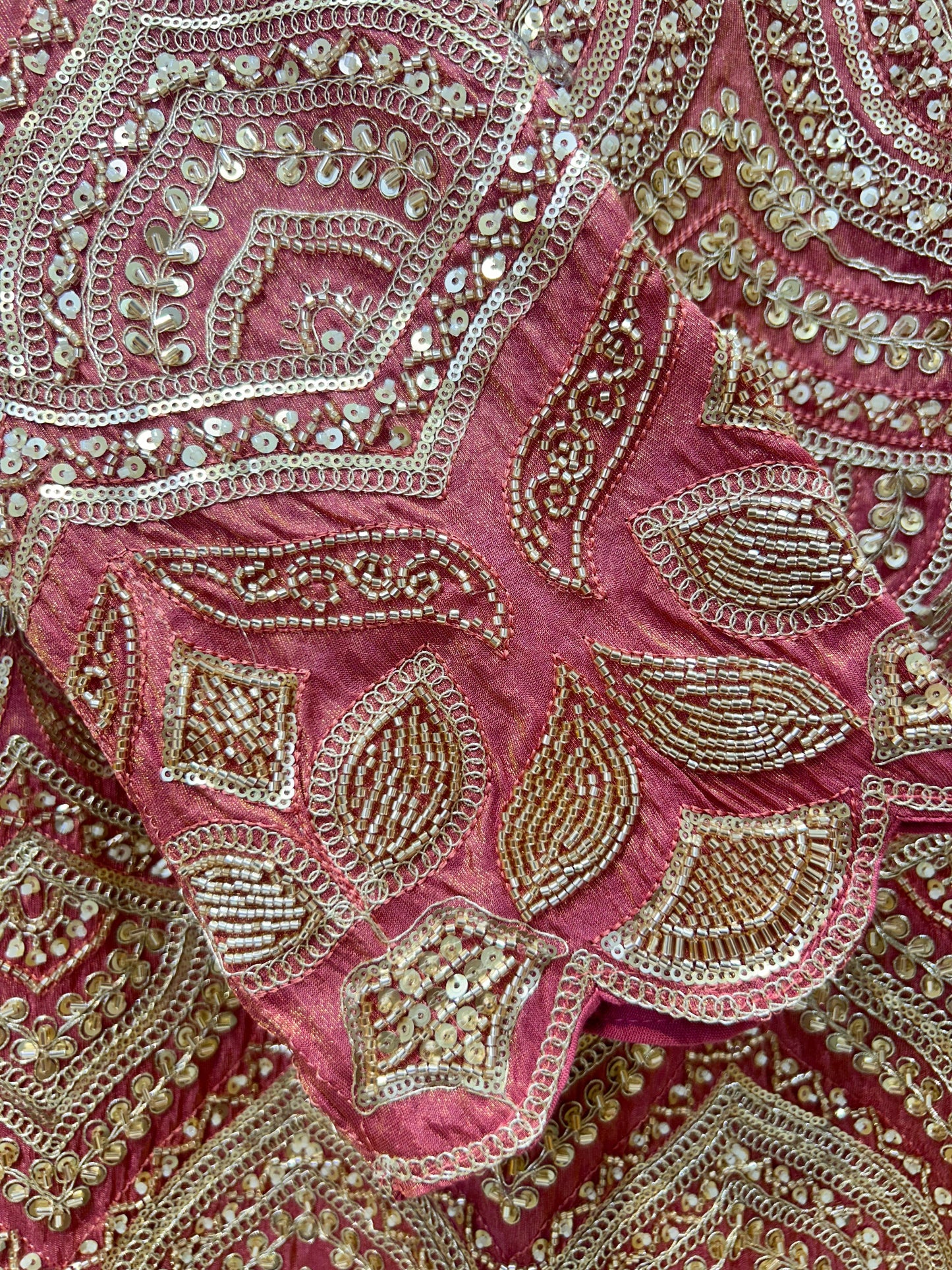 Aureza Organza Sharara Set
