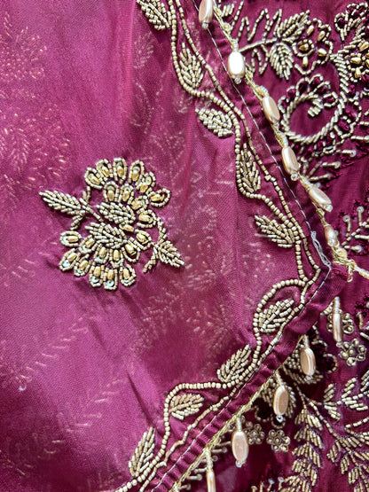 Arohaira Organza Suit