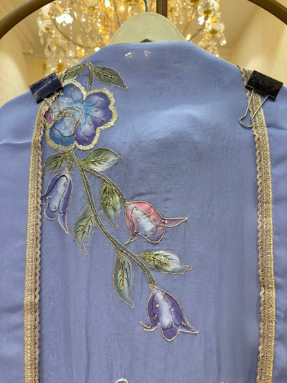 Vrinda Handpaint Organza Suit