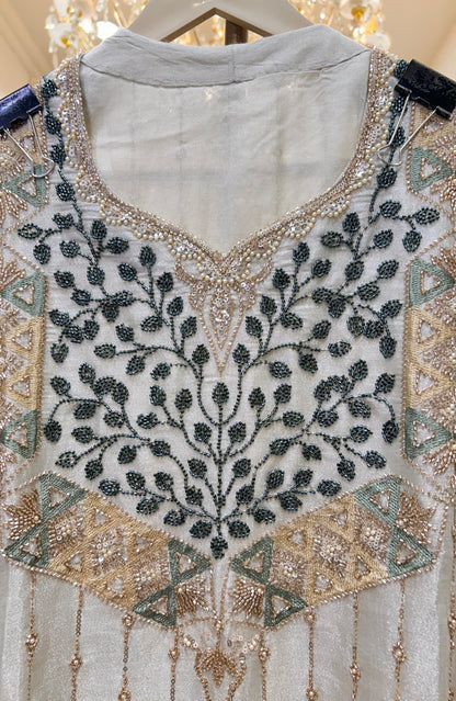 Vaanya Organza Elegance Set