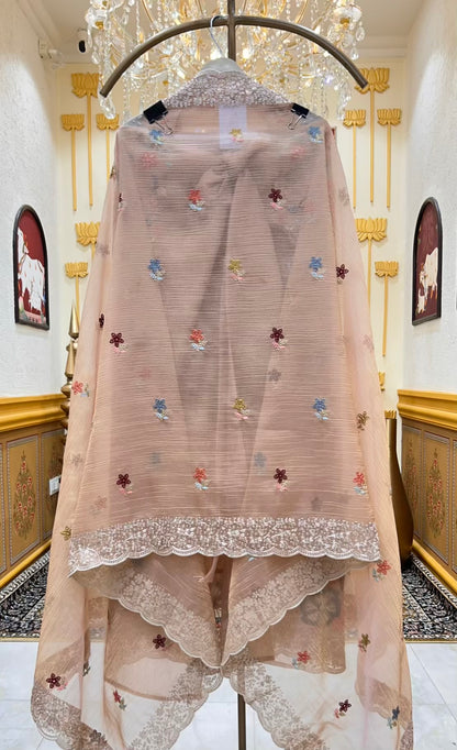 Naazira Resham Zari Suit (Peach)