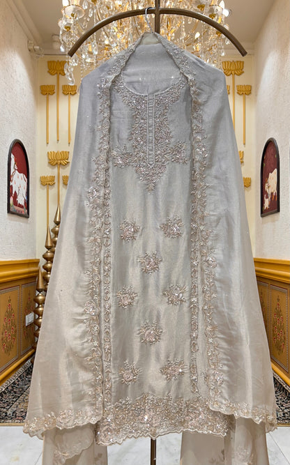 Ameya Organza Suit