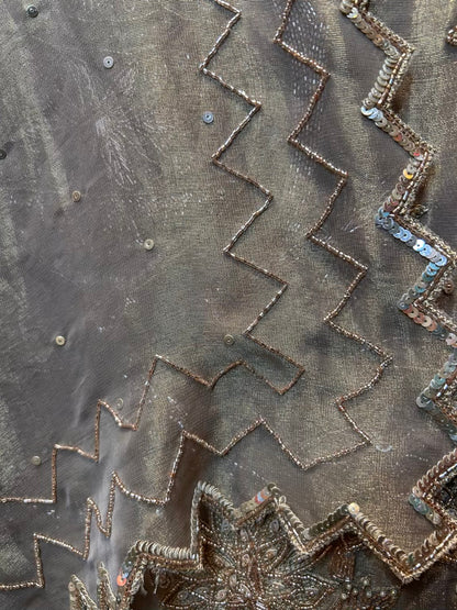 Lumina Organza Suit (Beige)