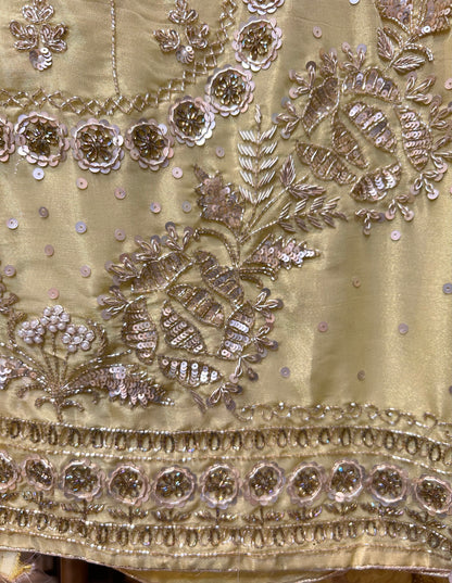 Vritika Shimmer Organza Suit