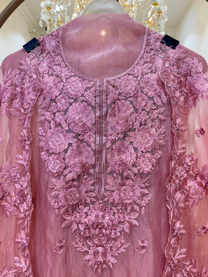 Noorisha Organza Suit