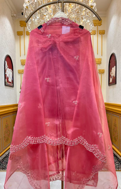 Elina Crush Karigari Suit (Pink)