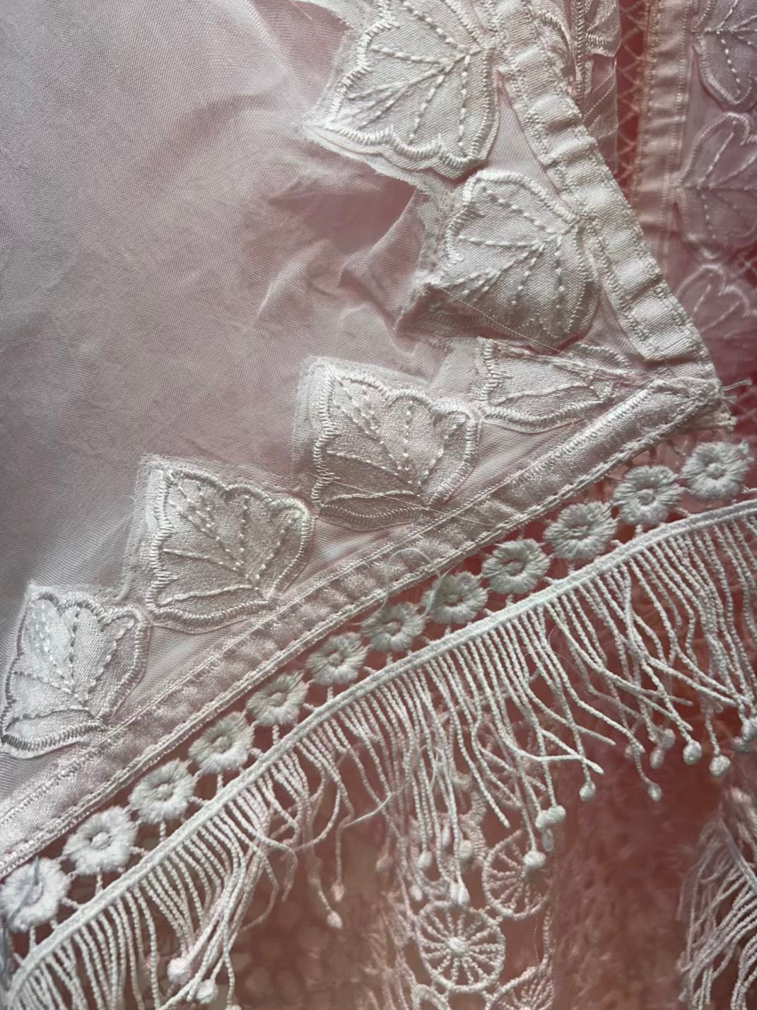 Elara Lace Organza Suit