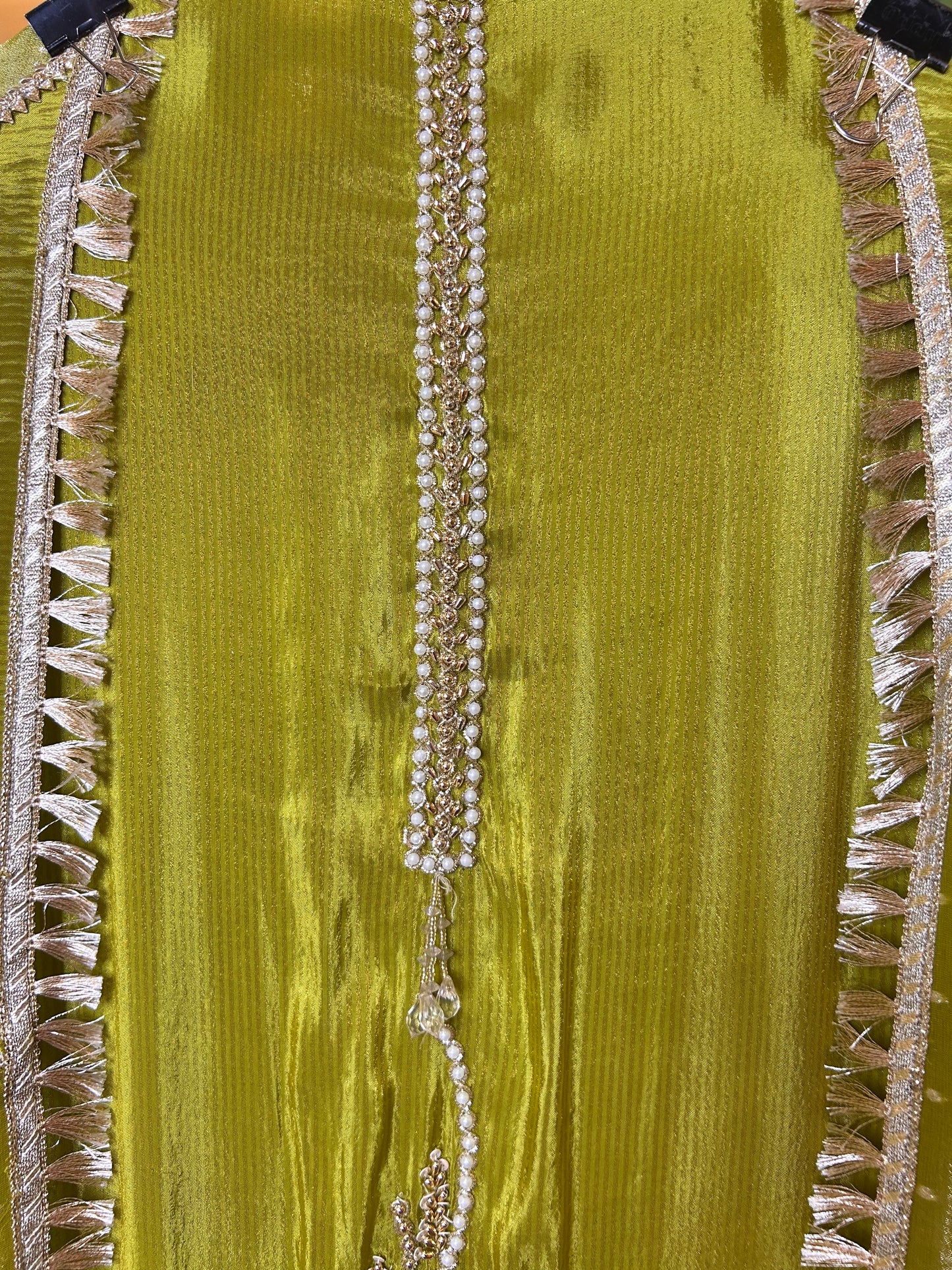 Chamakra Organza Suit (Green)