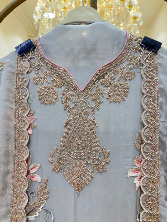 Ruhani Thread Organza Suit