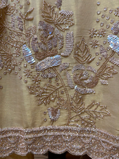 Amaira Shimmer Organza Suit