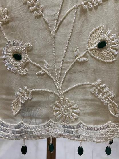 Avni Allure Organza Suit