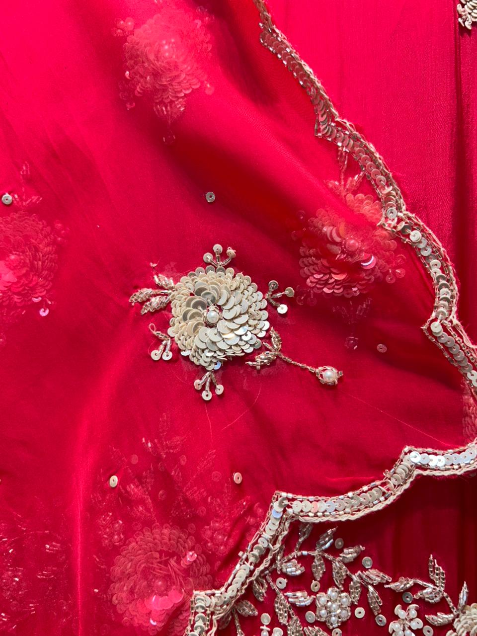 Ariyah Organza Suit