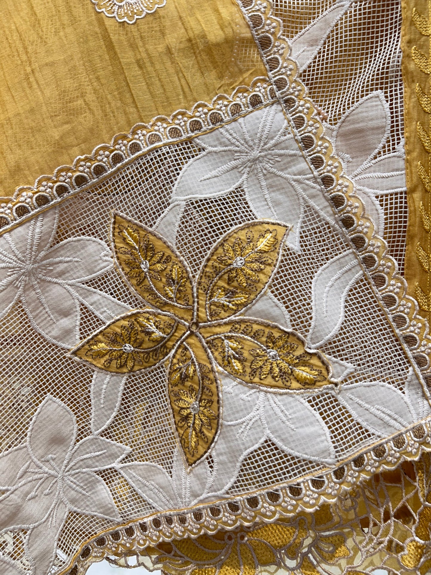 Aarohi Appliqué Grace Suit