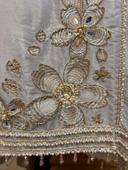 Alizeh Organza Suit