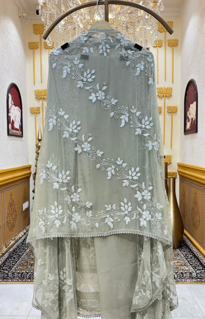 Zehra Potli Georgette Suit