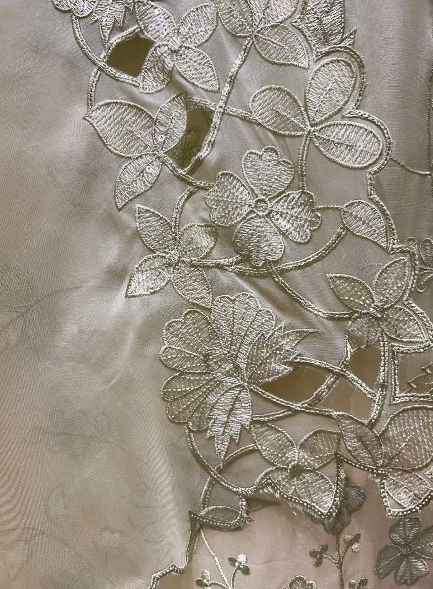 Zynera Threadspark Organza Suit