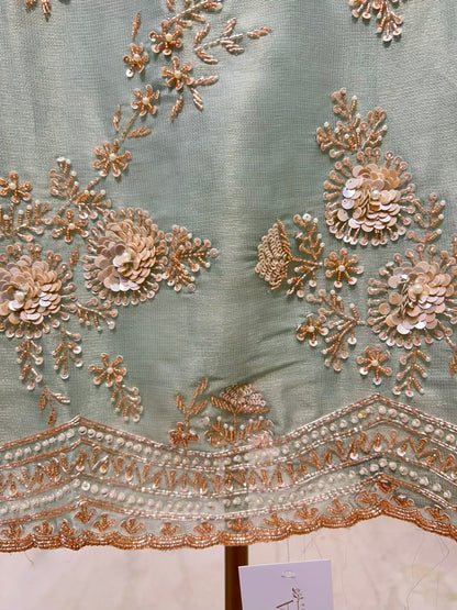 Zarisha Moti Chamak Suit (Light Green)