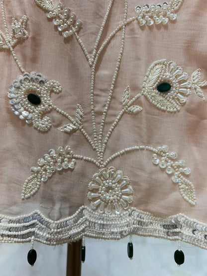 Avni Allure Organza Suit