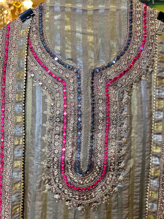 Arzoo Organza Suit (Beige)