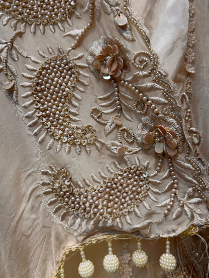 Aarini Handcrafted Organza Suit