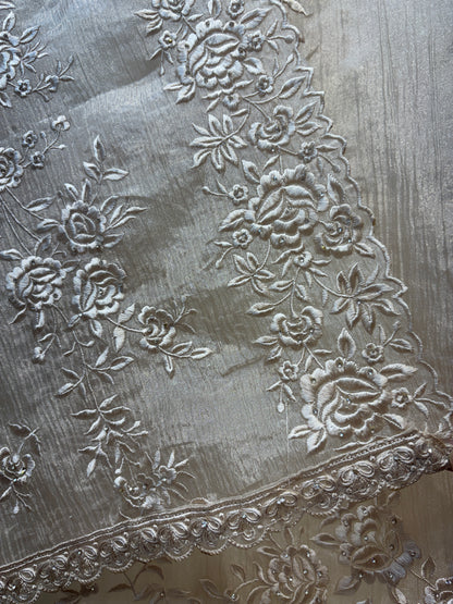 Sehaj Festive Tissue Suit