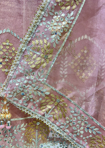 Zarmeiraa Tissue Organza Suit