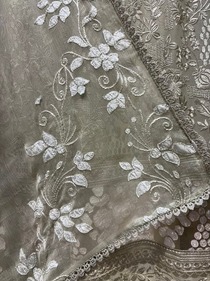 Zehra Potli Georgette Suit