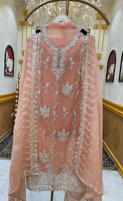 Aarifa Resham Veil Suit (Peach)