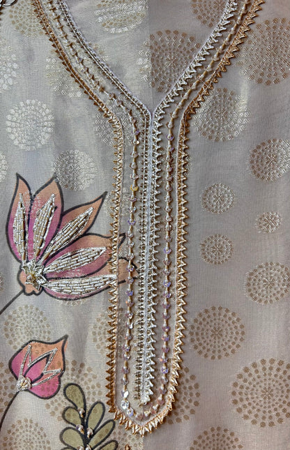Aarunya Organza Suit