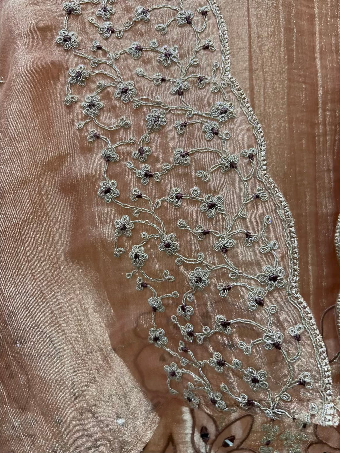 Raveena Aaina Dori Suit (Peach)