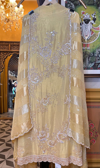 Amaira Shimmer Organza Suit