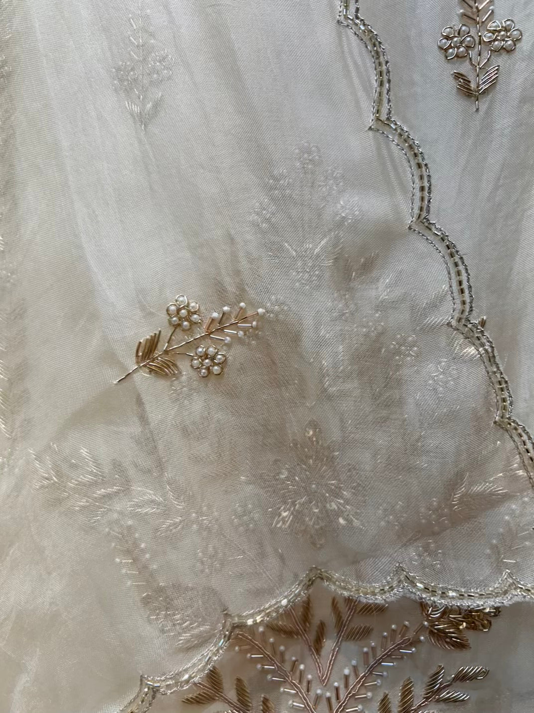 Aafreen Moti Zari Organza Suit