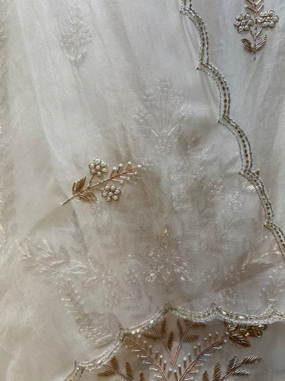 Aafreen Moti Zari Organza Suit