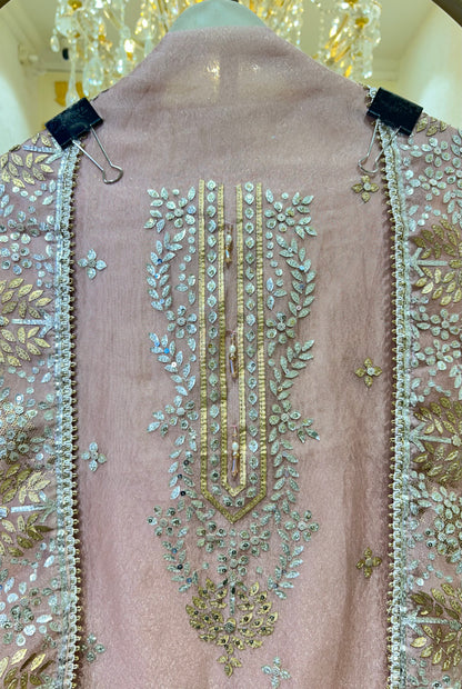 Zarmeiraa Tissue Organza Suit