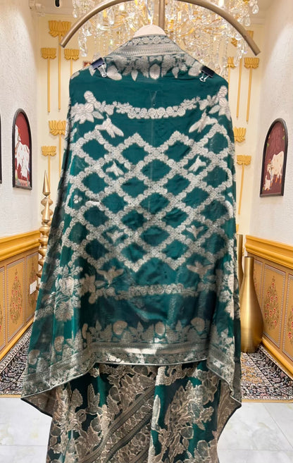 Aarohi Banarasi Weave Noor (Green)