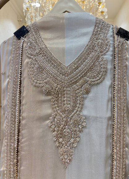 Anantya Organza Suit