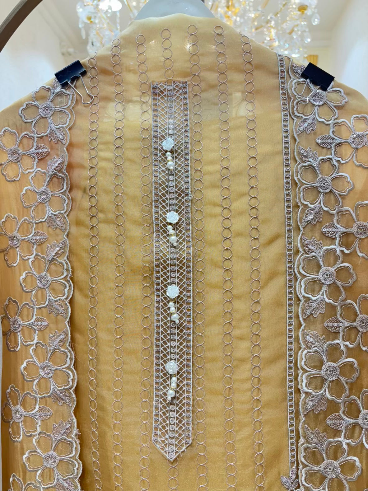 Ziana Zari Organza Suit