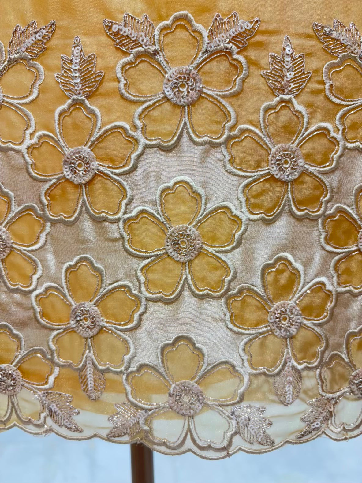 Ziana Zari Organza Suit