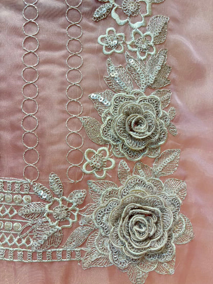 Ziana Zari Organza Suit