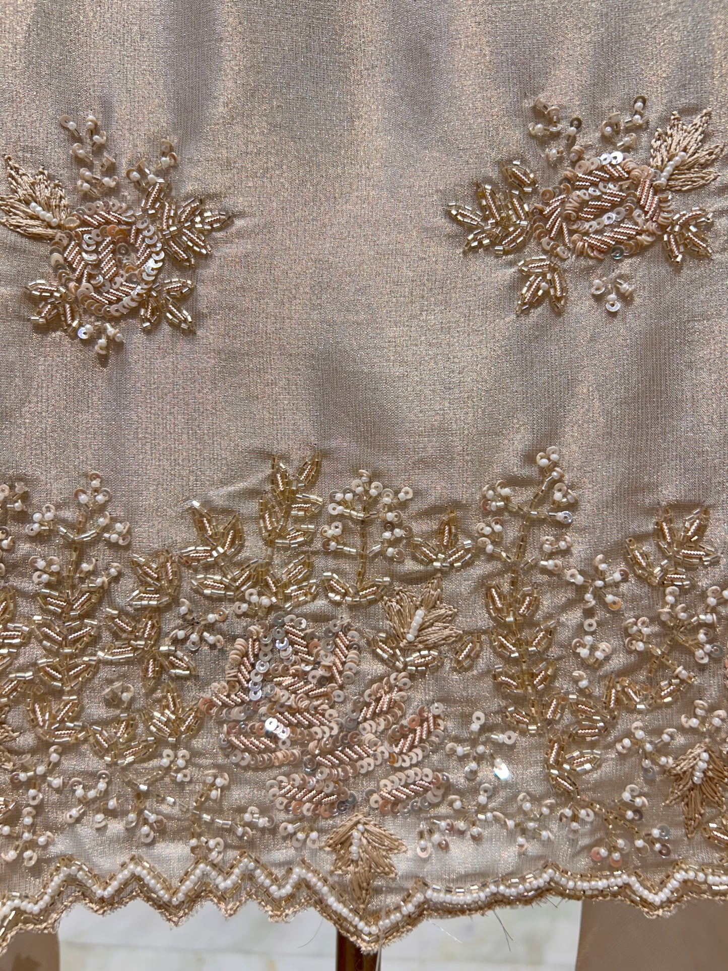 Ameya Organza Suit