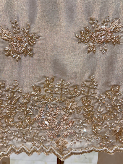 Ameya Organza Suit