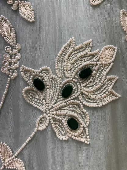Avni Allure Organza Suit