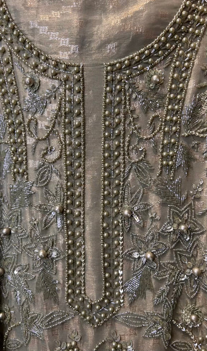 Rimzaan Organza Suit (Powder Green)
