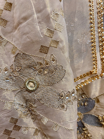 Chaandni Organza Suit