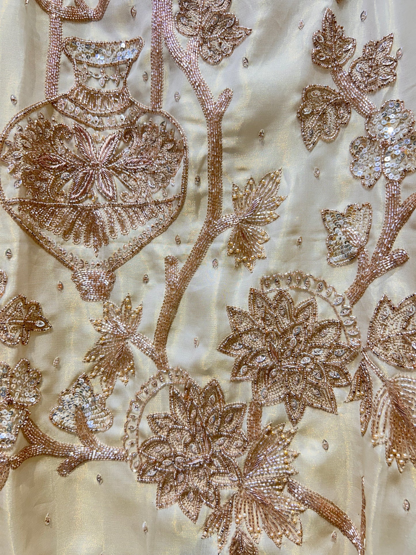 Suvrata Organza Suit